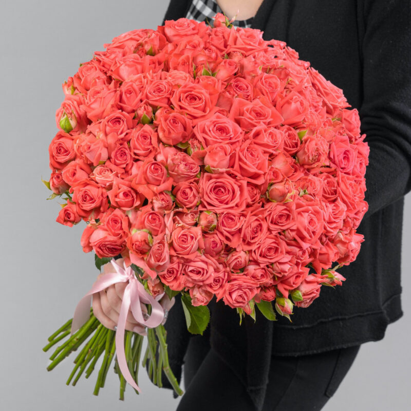 51 Кустовая Коралловая Роза (50 см.)